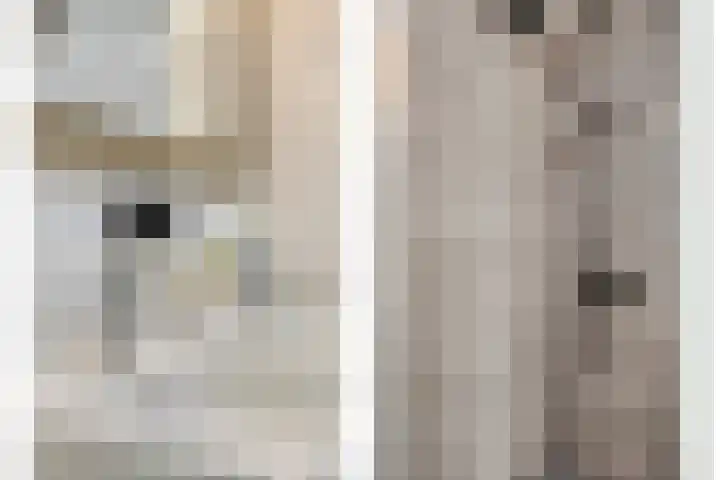 Etty Hillesumlaan 15 Kloetinge thumbnail 18