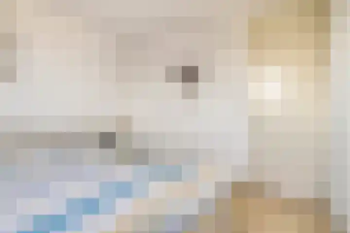 Etty Hillesumlaan 15 Kloetinge thumbnail 20