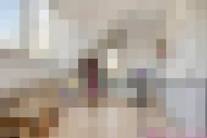 Etty Hillesumlaan 15 Kloetinge thumbnail 22