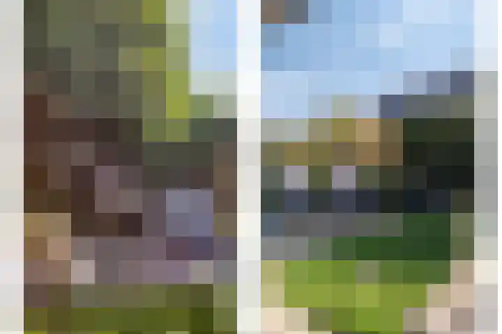 Etty Hillesumlaan 15 Kloetinge thumbnail 26