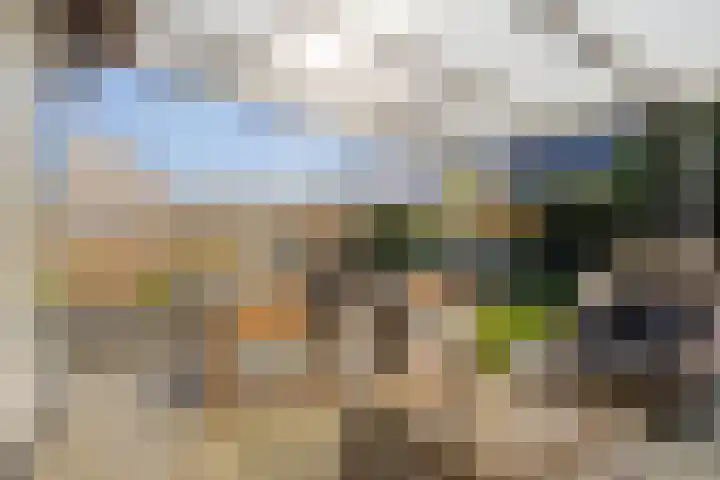 Etty Hillesumlaan 15 Kloetinge thumbnail 27