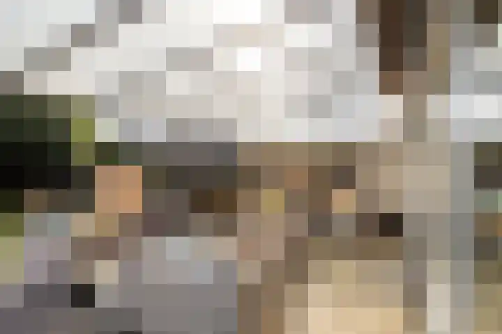 Etty Hillesumlaan 15 Kloetinge thumbnail 4