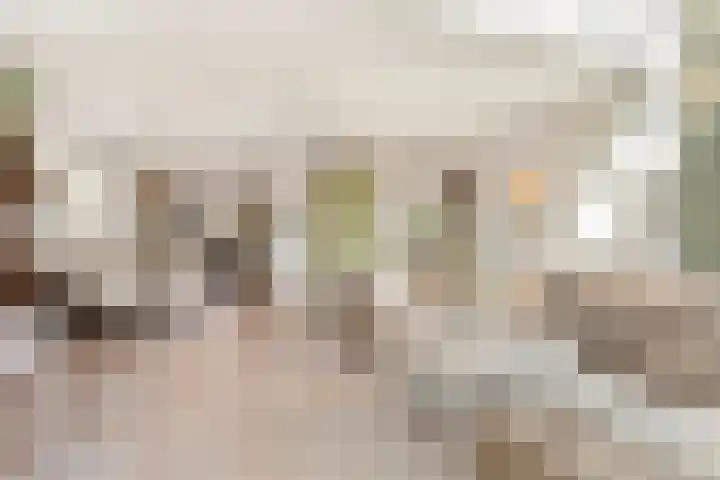 Etty Hillesumlaan 15 Kloetinge thumbnail 6