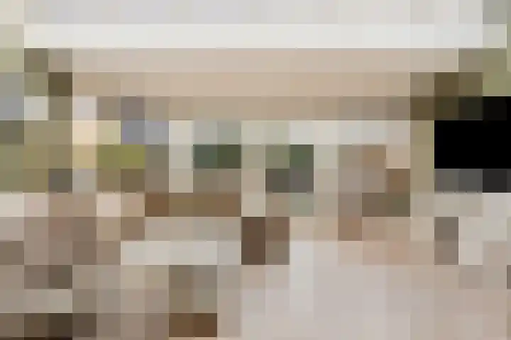 Etty Hillesumlaan 15 Kloetinge thumbnail 7