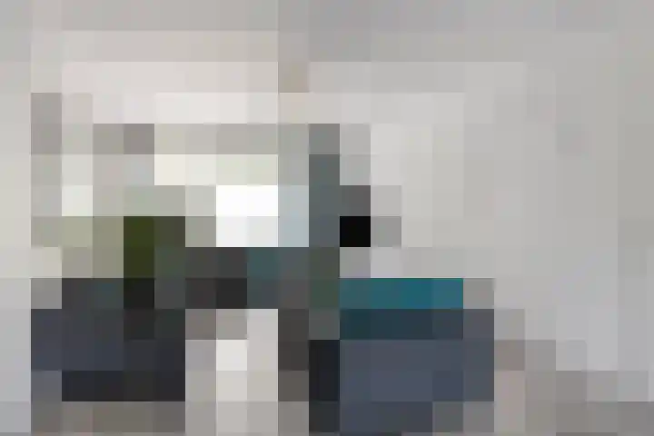 Etty Hillesumlaan 20 Kloetinge thumbnail 12