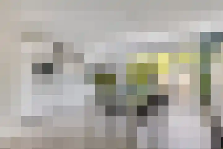Etty Hillesumlaan 20 Kloetinge thumbnail 15