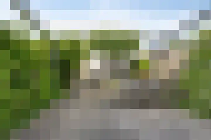 Etty Hillesumlaan 20 Kloetinge thumbnail 30