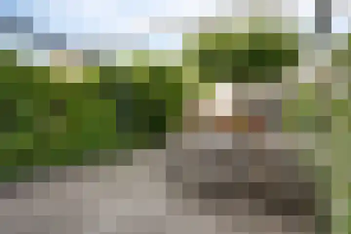 Etty Hillesumlaan 20 Kloetinge thumbnail 35