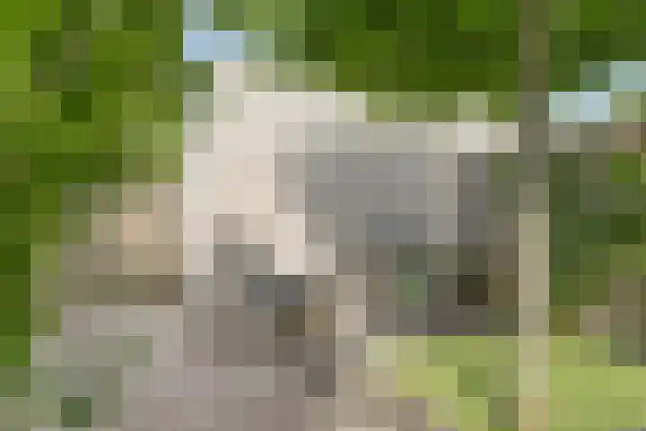 Etty Hillesumlaan 20 Kloetinge thumbnail 36