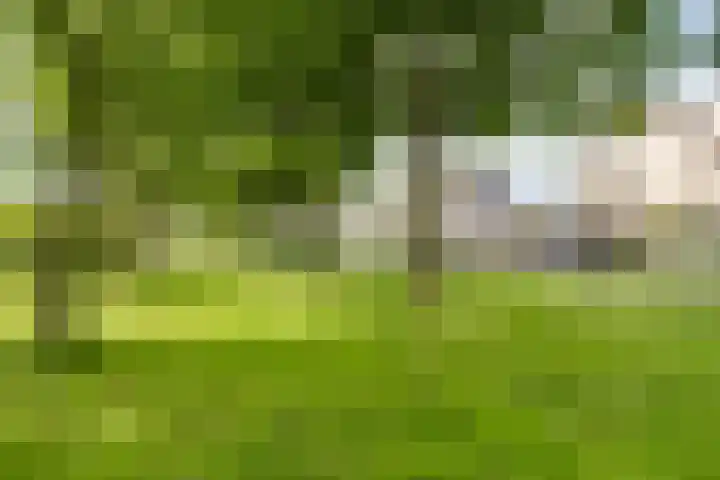 Etty Hillesumlaan 20 Kloetinge thumbnail 38
