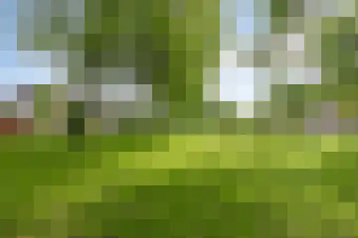 Etty Hillesumlaan 20 Kloetinge thumbnail 39