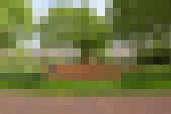 Etty Hillesumlaan 20 Kloetinge thumbnail 40