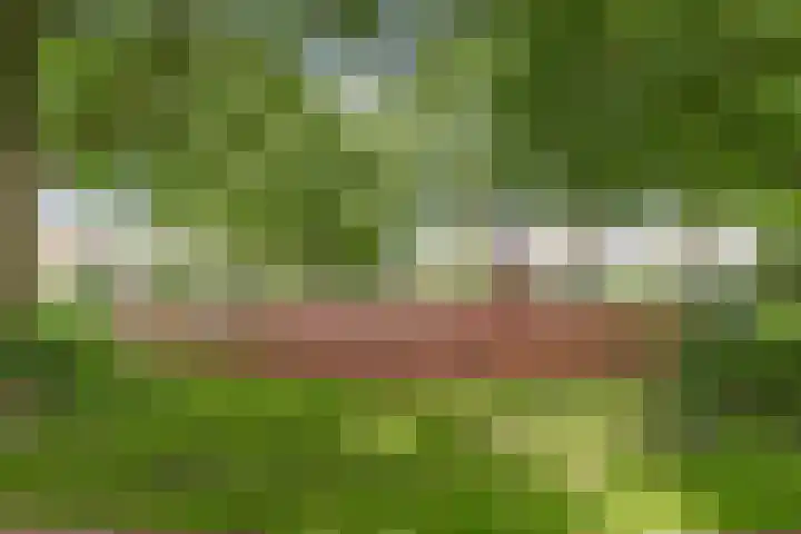 Etty Hillesumlaan 20 Kloetinge thumbnail 41