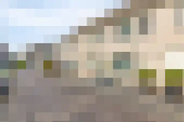 Etty Hillesumlaan 20 Kloetinge thumbnail 43