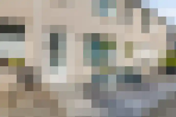 Etty Hillesumlaan 20 Kloetinge thumbnail 6