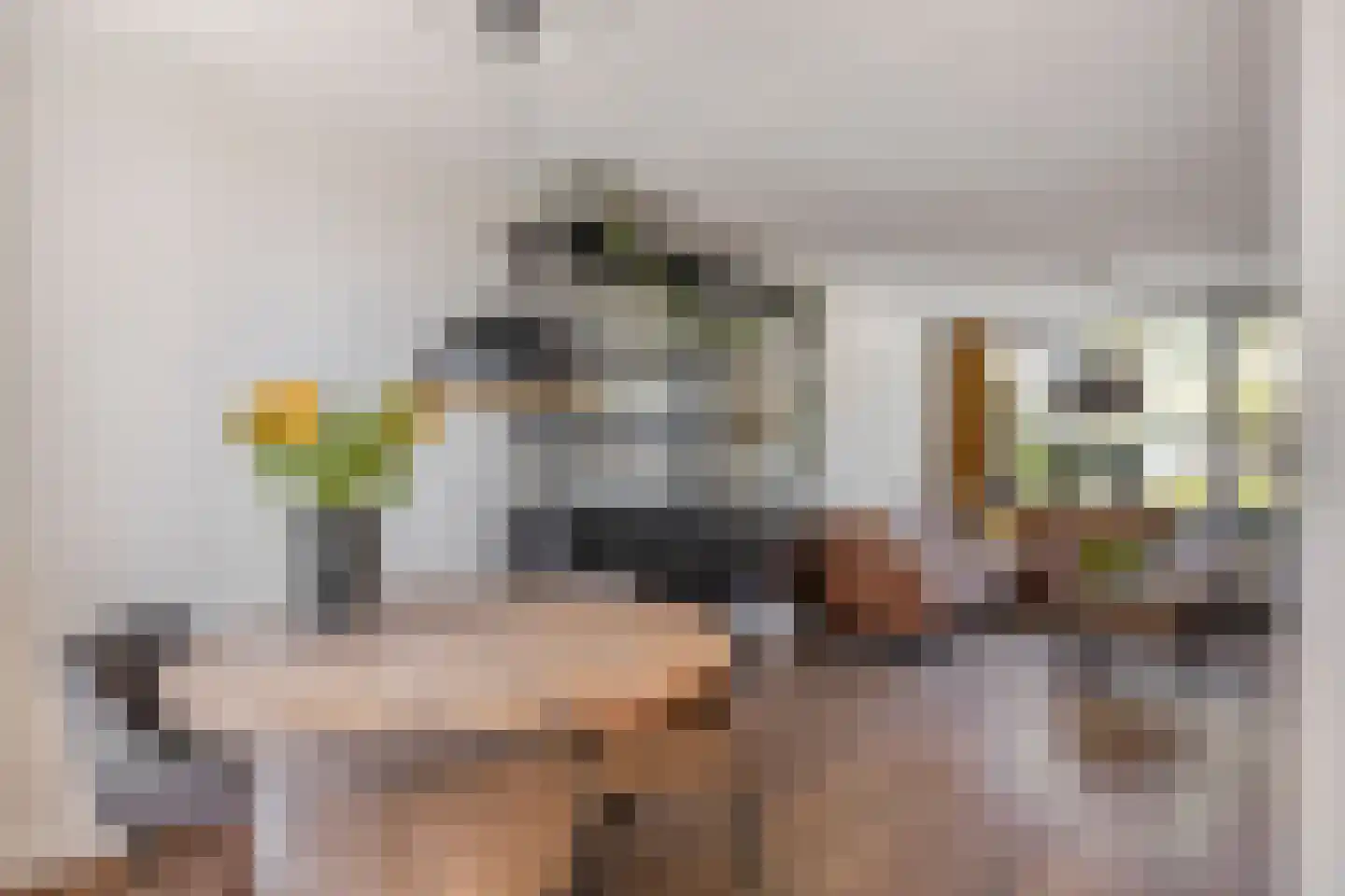Etty Hillesumlaan 7 Kloetinge thumbnail 13