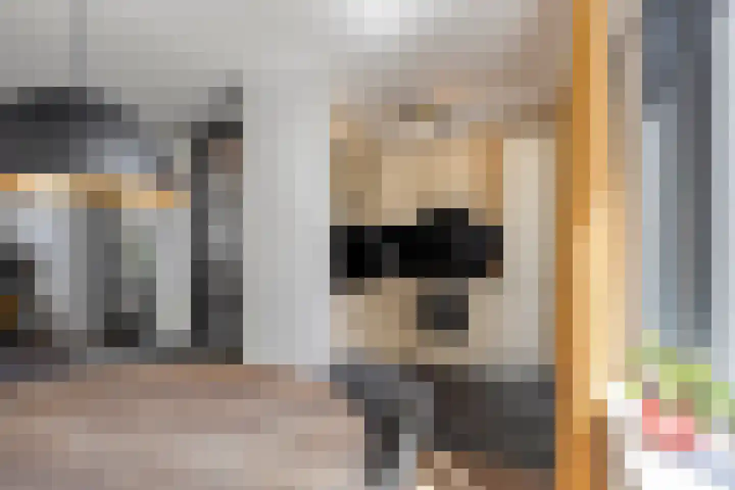 Etty Hillesumlaan 7 Kloetinge thumbnail 14