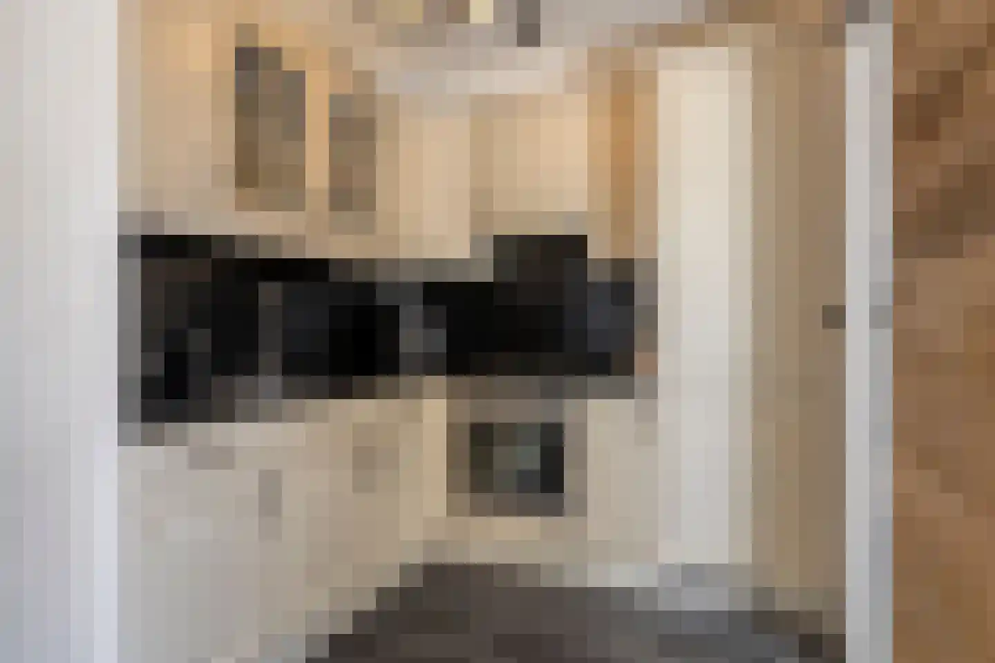 Etty Hillesumlaan 7 Kloetinge thumbnail 15