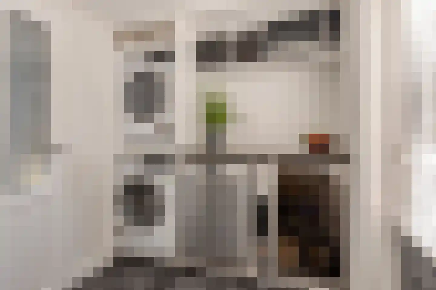 Etty Hillesumlaan 7 Kloetinge thumbnail 20