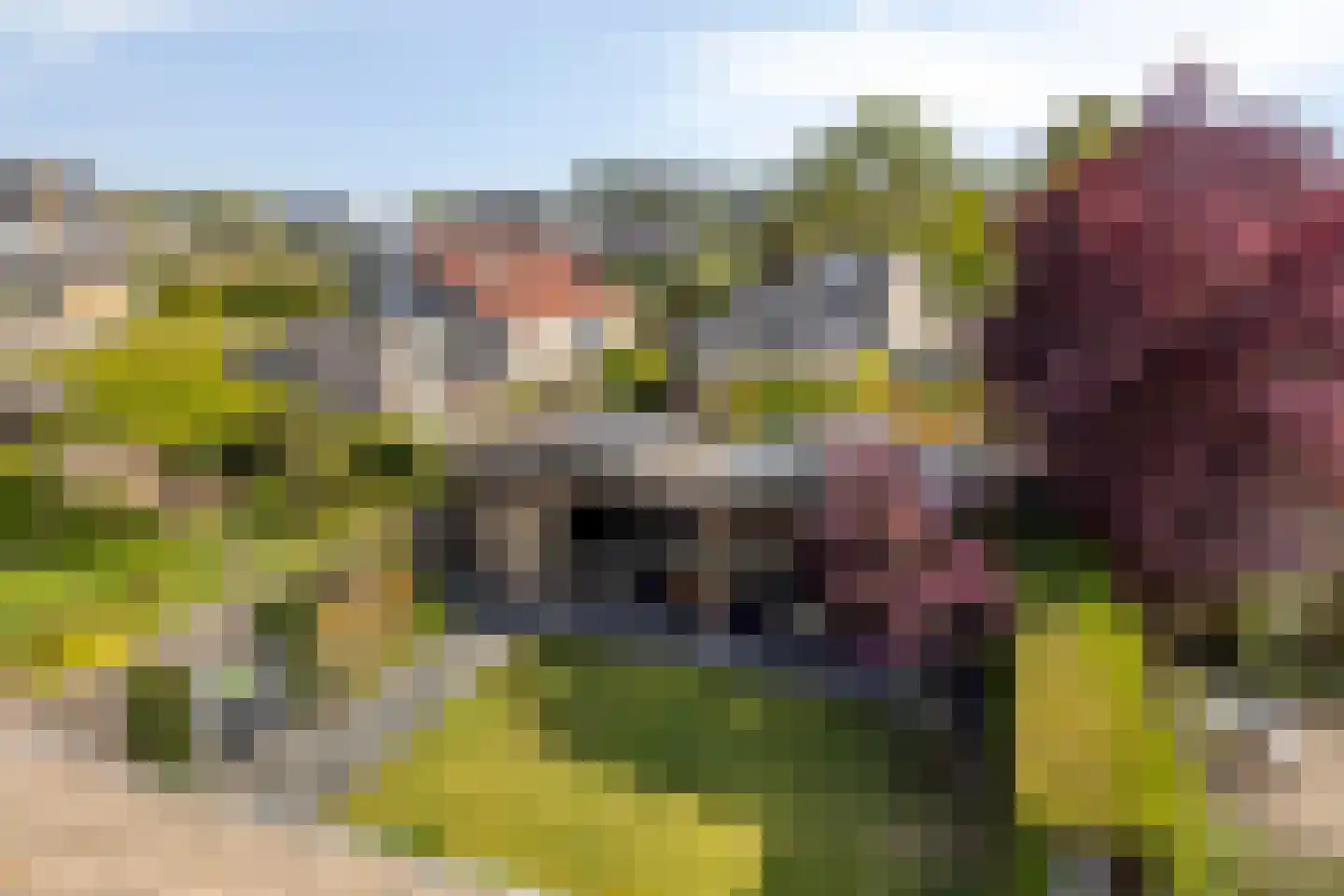 Etty Hillesumlaan 7 Kloetinge thumbnail 36