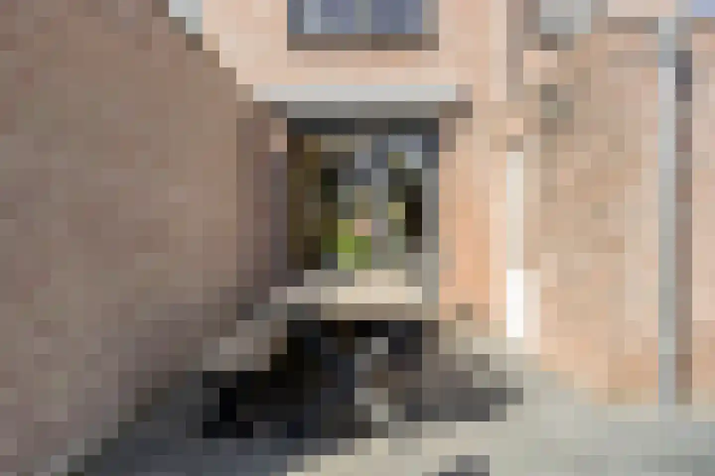 Etty Hillesumlaan 7 Kloetinge thumbnail 37