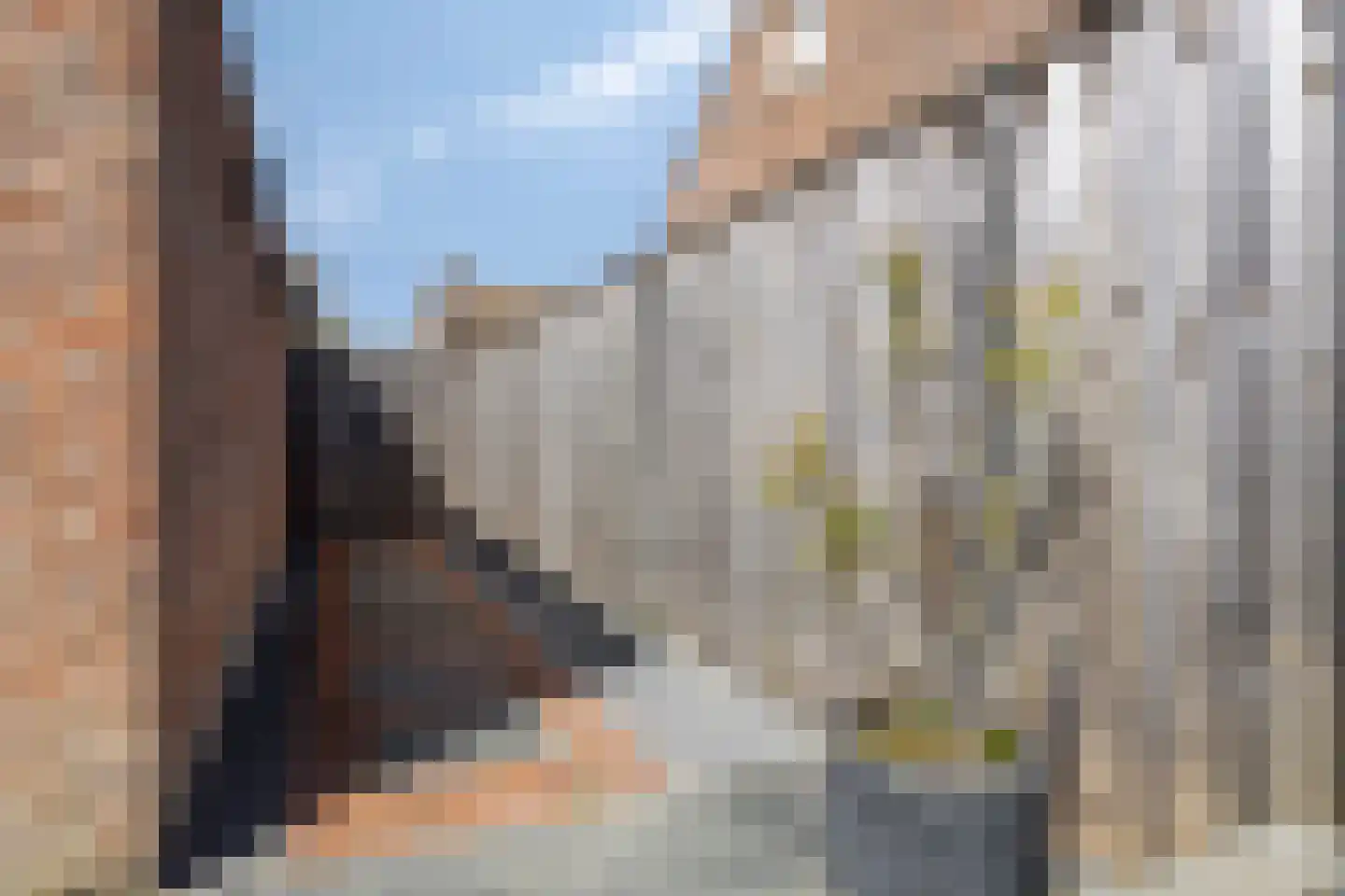 Etty Hillesumlaan 7 Kloetinge thumbnail 46