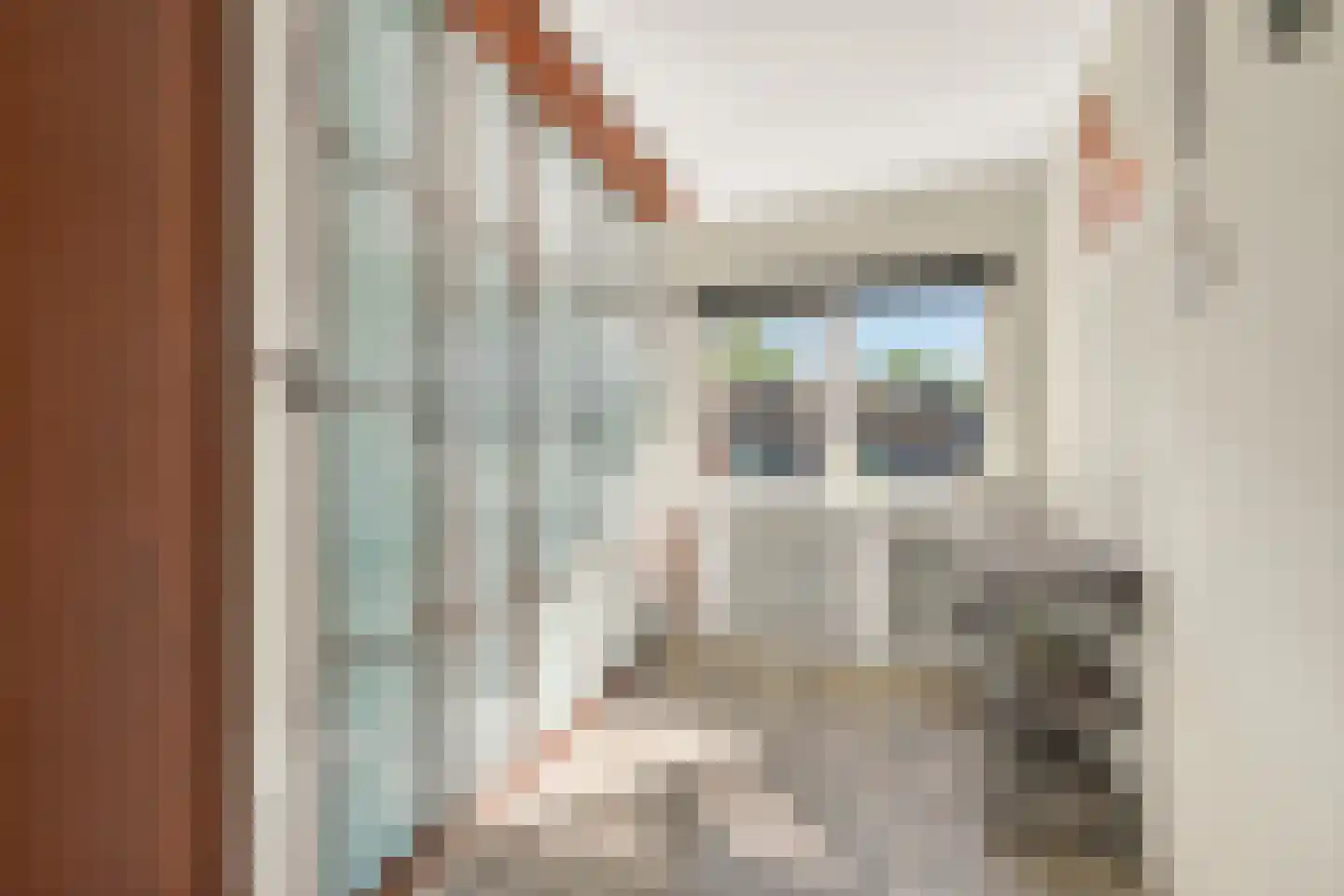 Etty Hillesumplantsoen 19 Hoofddorp thumbnail 22
