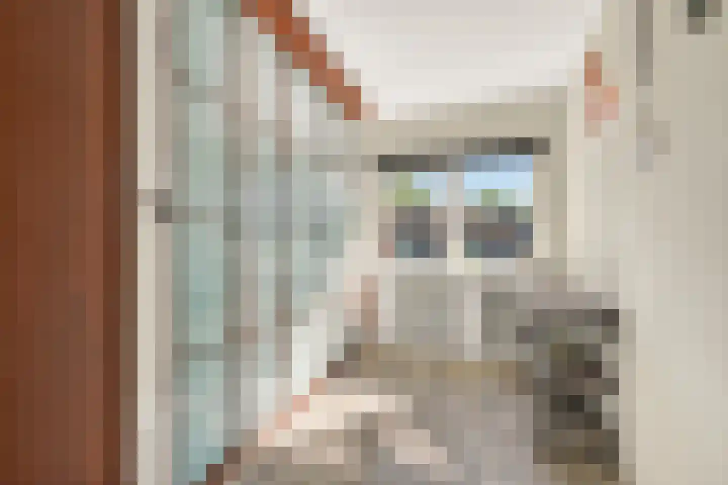 Etty Hillesumplantsoen 19 Hoofddorp thumbnail 22