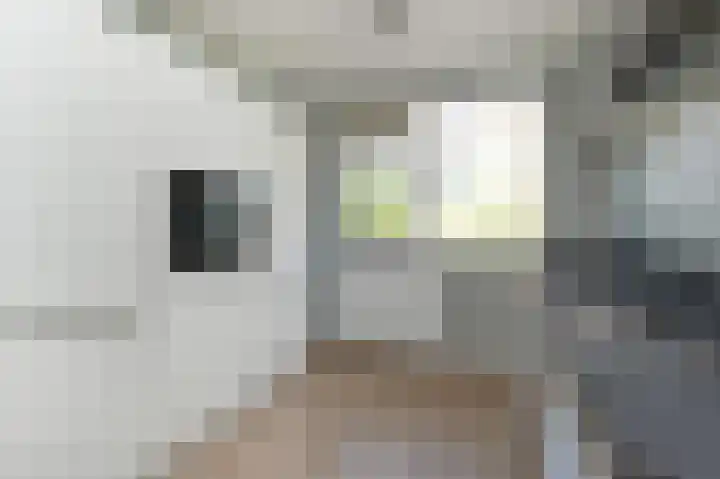 Etty Hillesumsingel 10 Pijnacker thumbnail 10