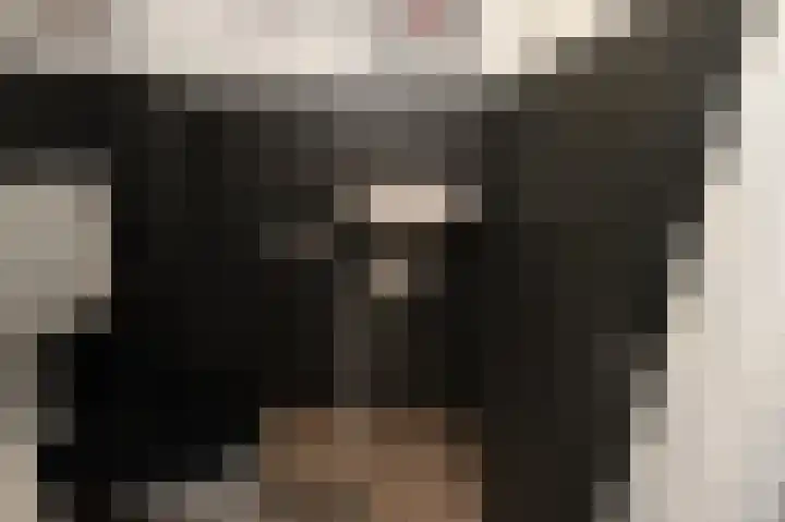 Etty Hillesumsingel 10 Pijnacker thumbnail 12