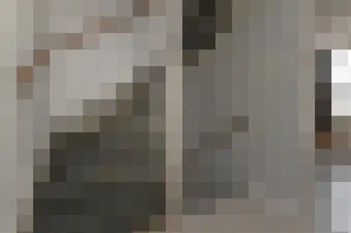 Etty Hillesumsingel 10 Pijnacker thumbnail 13
