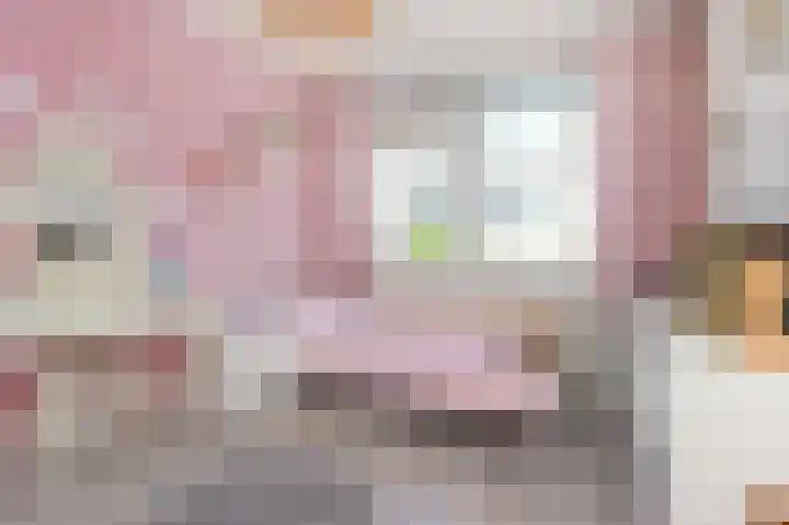 Etty Hillesumsingel 10 Pijnacker thumbnail 16