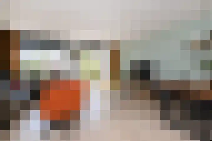 Etty Hillesumsingel 10 Pijnacker thumbnail 7