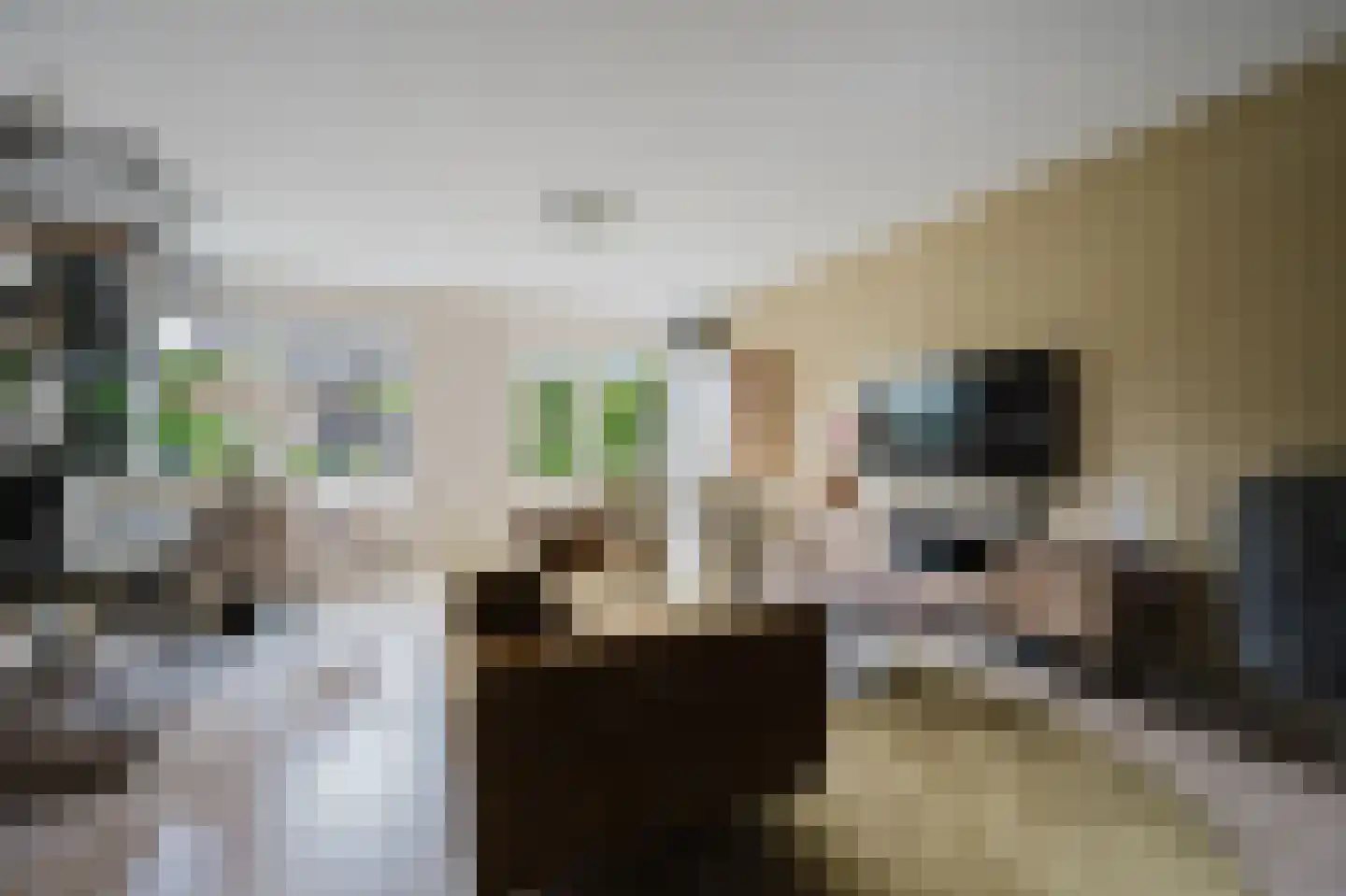 Etty Hillesumstraat 13 Spijkenisse thumbnail 11