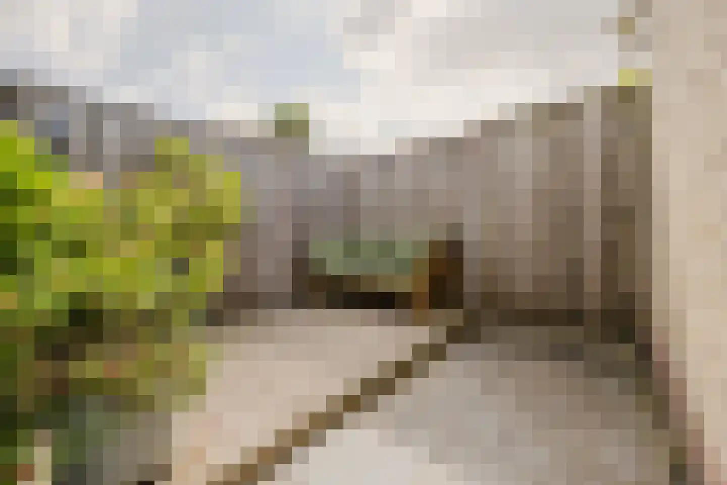 Etty Hillesumstraat 13 Spijkenisse thumbnail 13