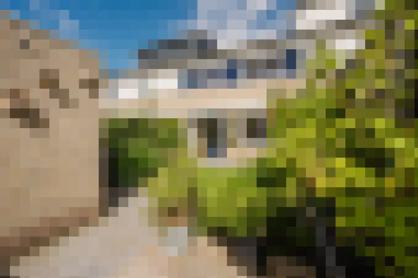 Etty Hillesumstraat 13 Spijkenisse thumbnail 14