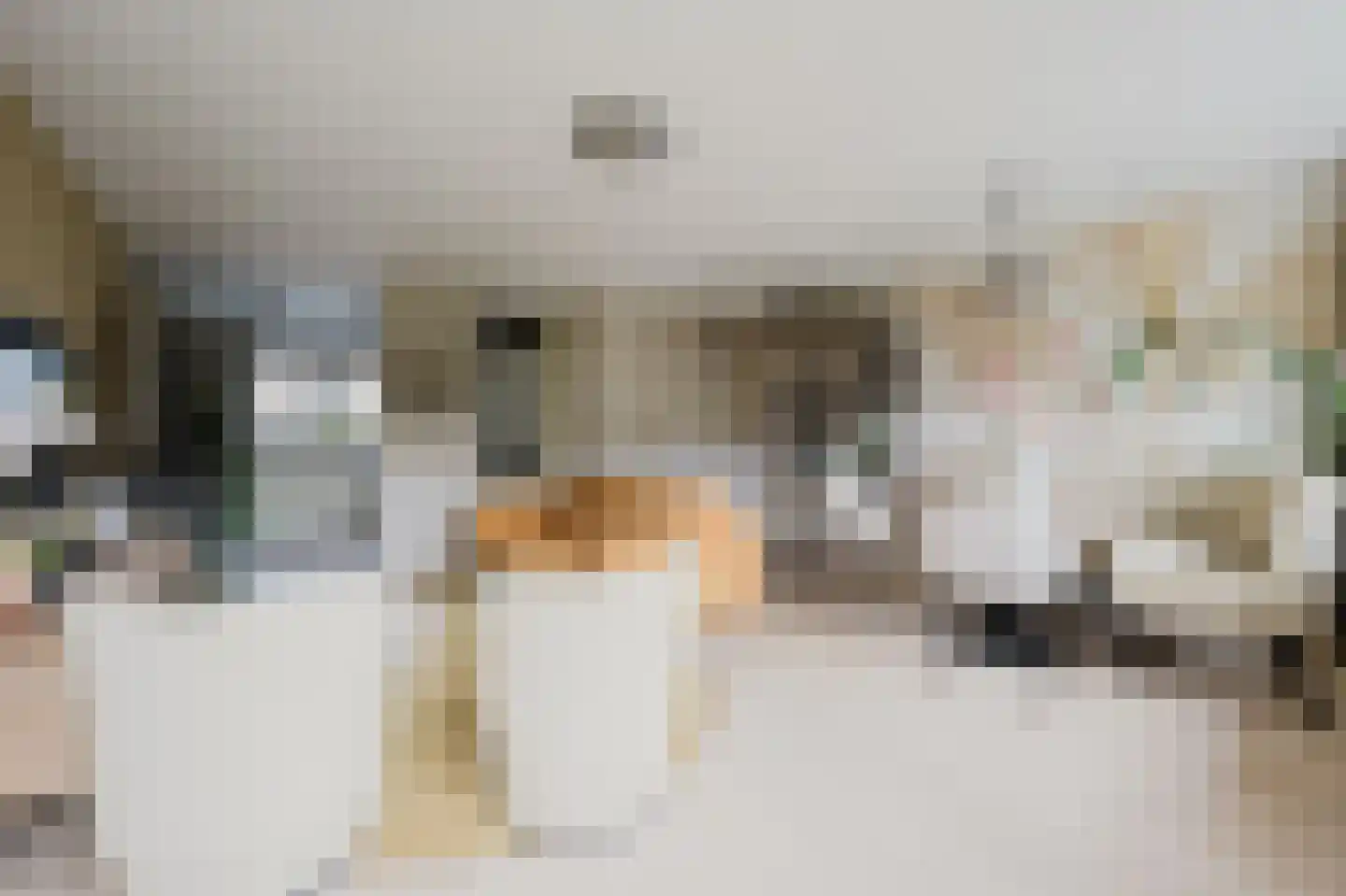 Etty Hillesumstraat 13 Spijkenisse thumbnail 15