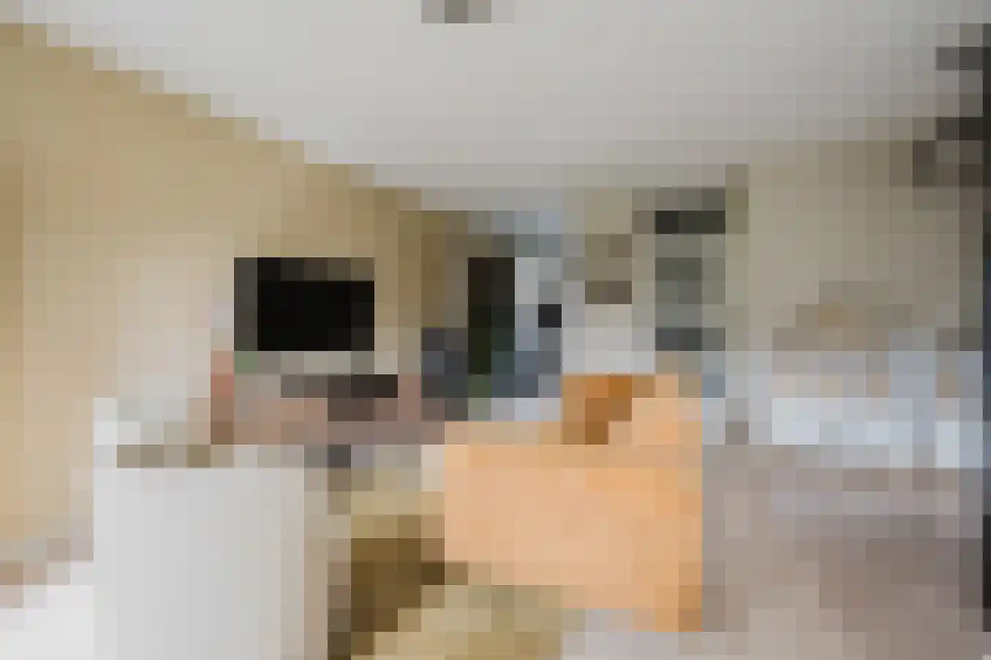 Etty Hillesumstraat 13 Spijkenisse thumbnail 17