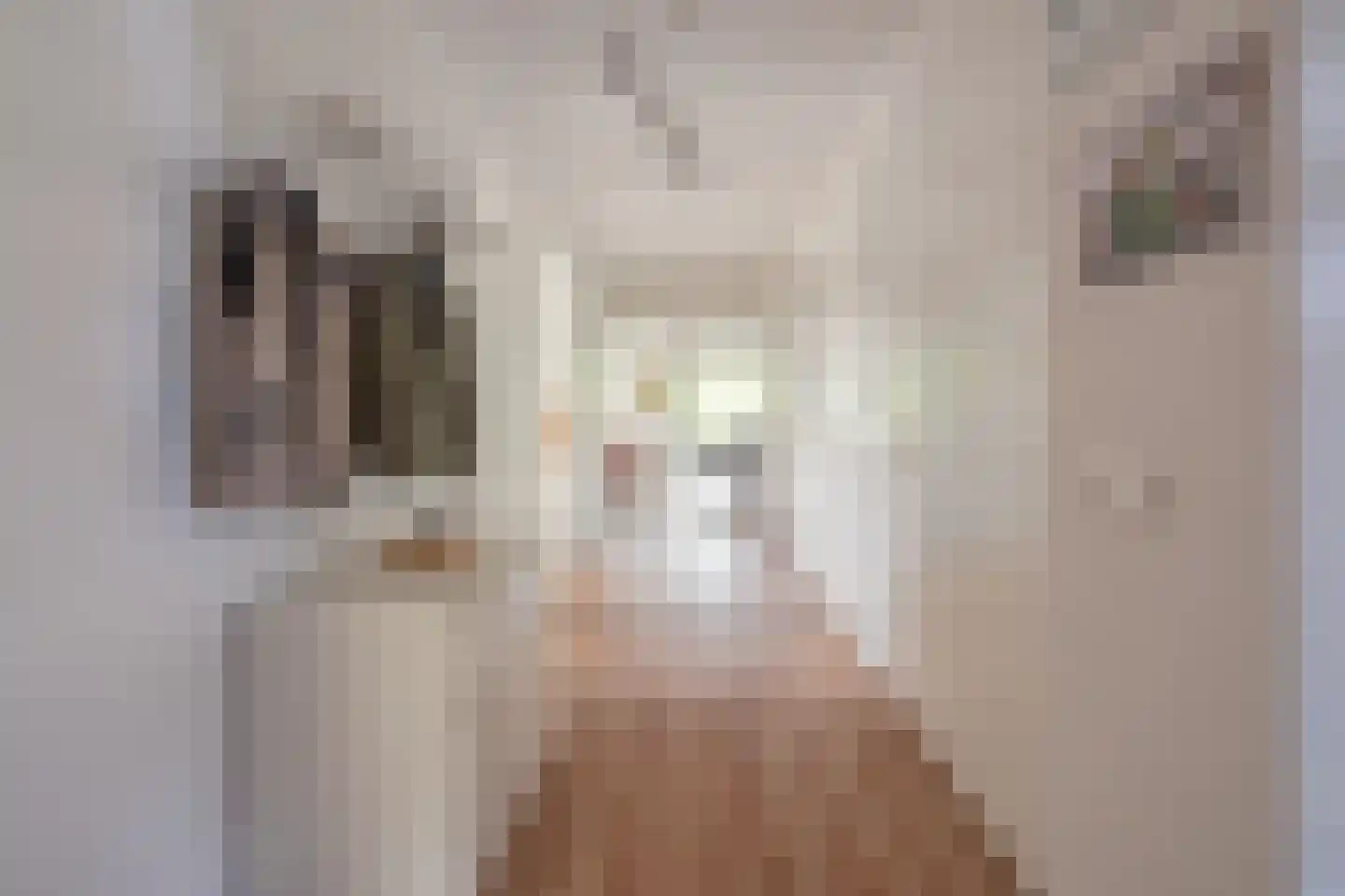 Etty Hillesumstraat 14 Middelburg thumbnail 17