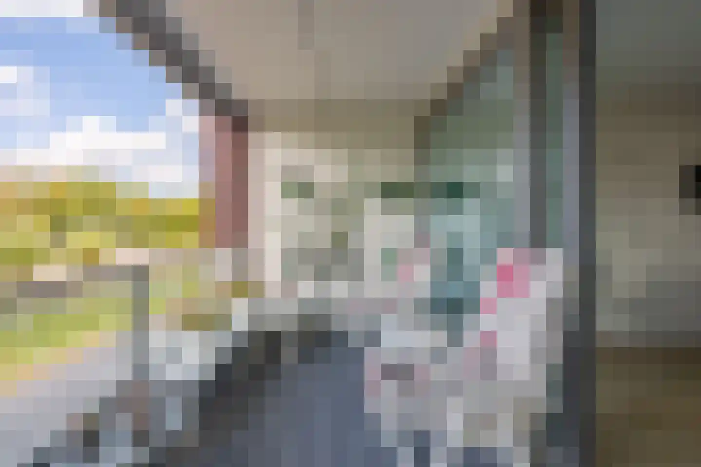 Etty Hillesumstraat 14 Middelburg thumbnail 31