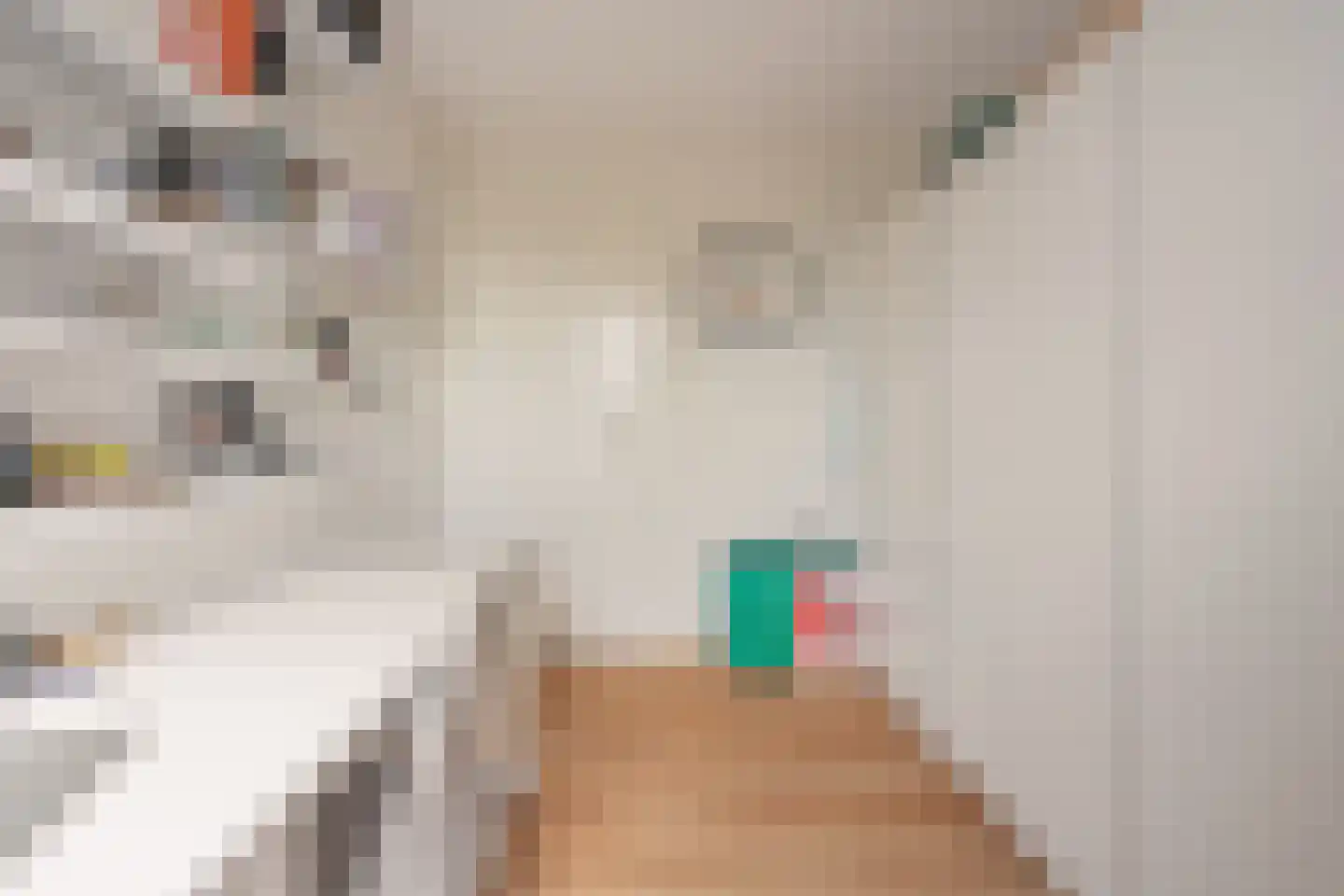 Etty Hillesumstraat 14 Middelburg thumbnail 41