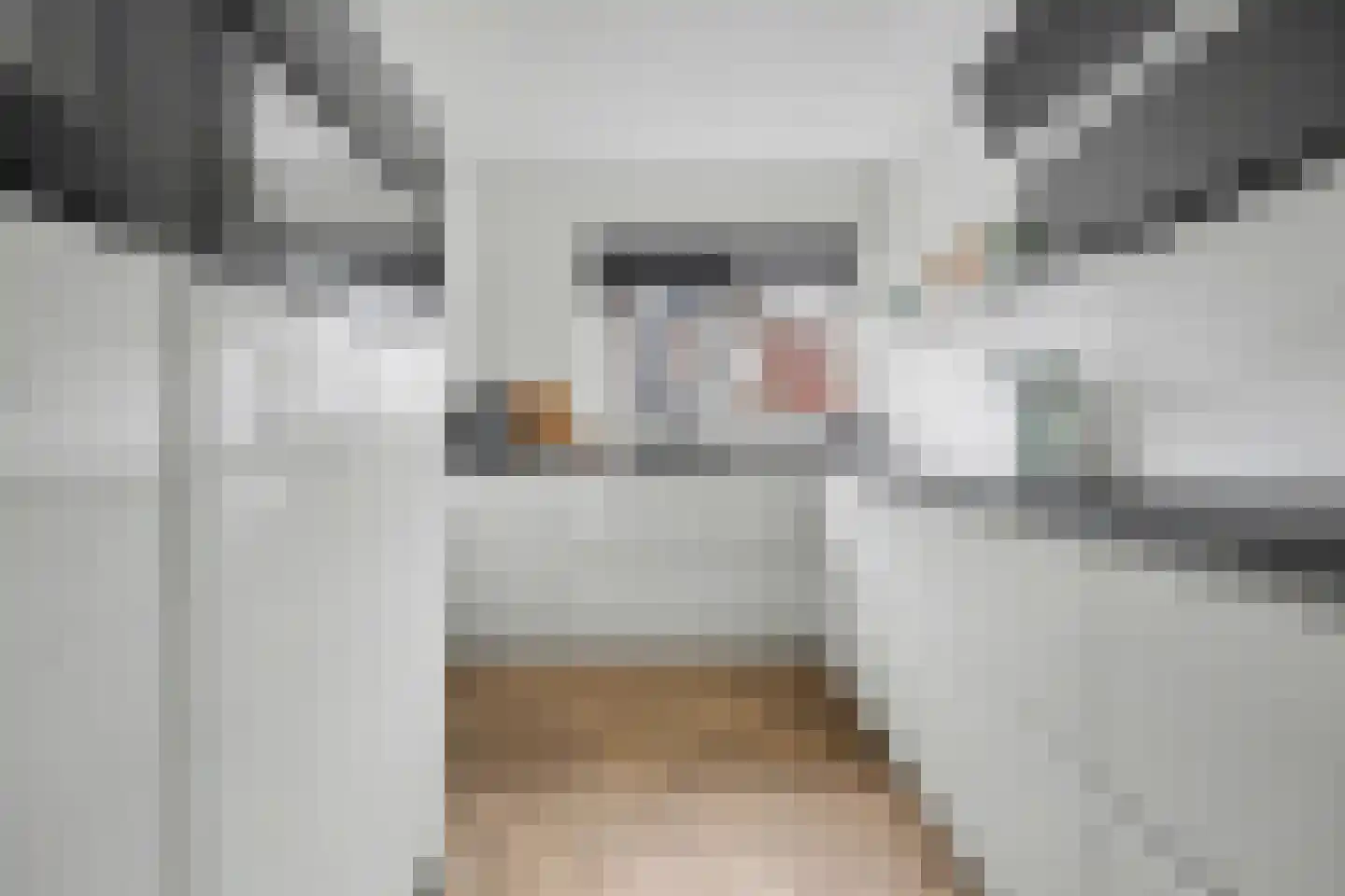 Etty Hillesumstraat 17 Spijkenisse thumbnail 10