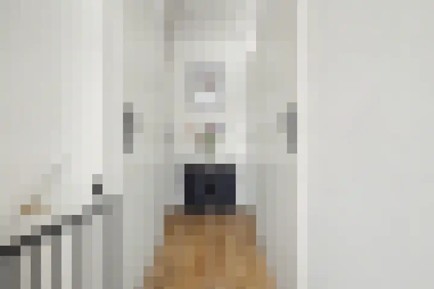 Etty Hillesumstraat 17 Spijkenisse thumbnail 12