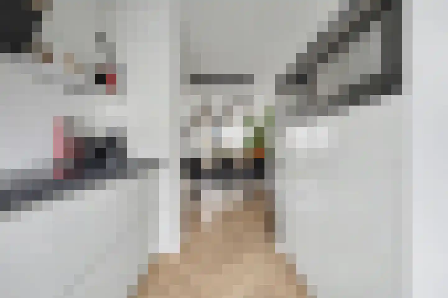 Etty Hillesumstraat 17 Spijkenisse thumbnail 9