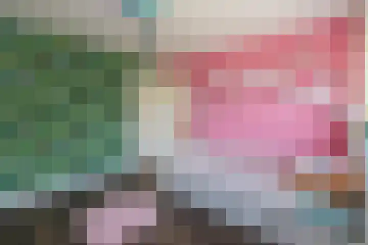 Etudestraat 1 Nijmegen thumbnail 23