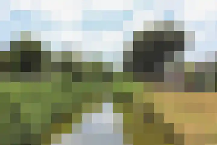 Etudestraat 1 Nijmegen thumbnail 54
