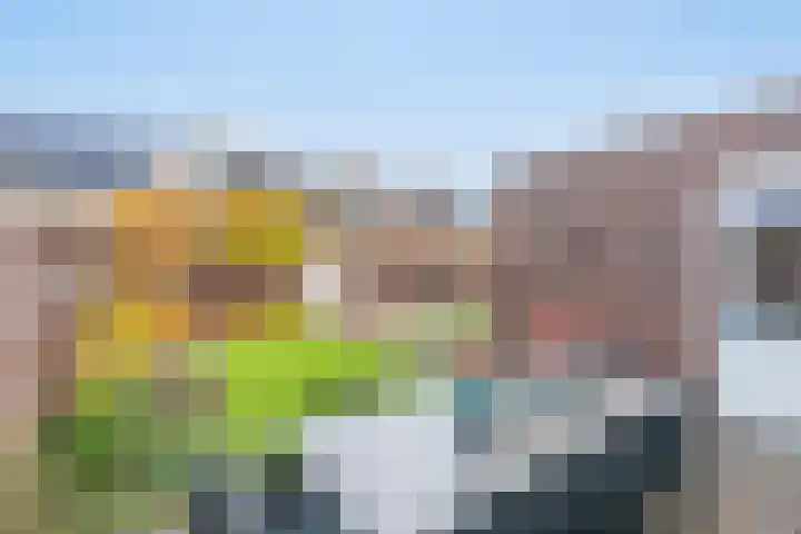 Etudestraat 14 Rosmalen thumbnail 14