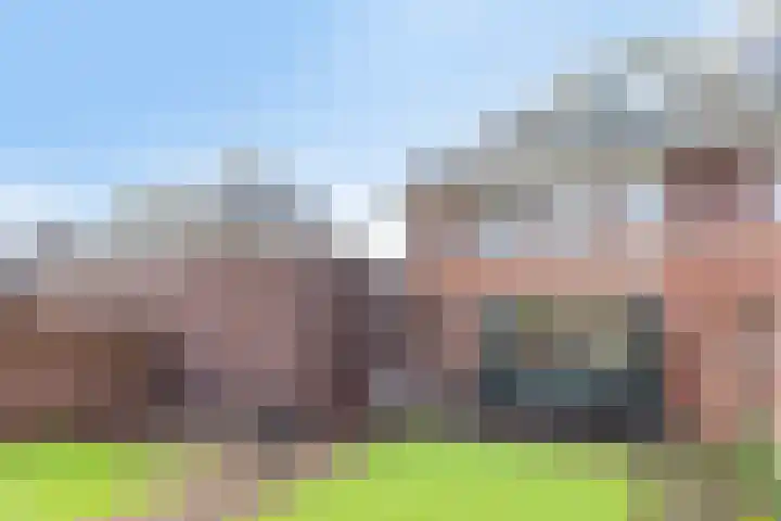 Etudestraat 14 Rosmalen thumbnail 15
