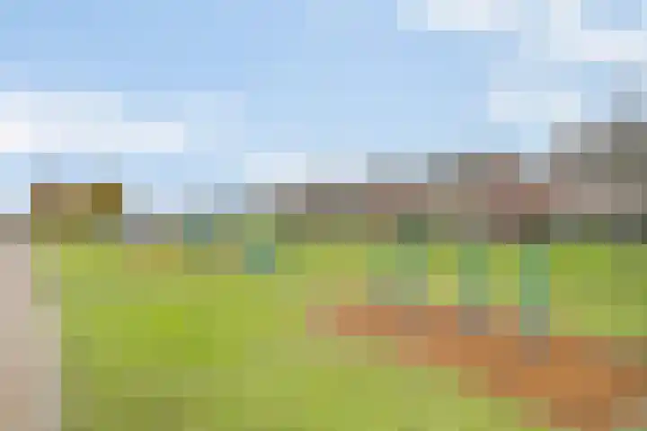 Etudestraat 14 Rosmalen thumbnail 38