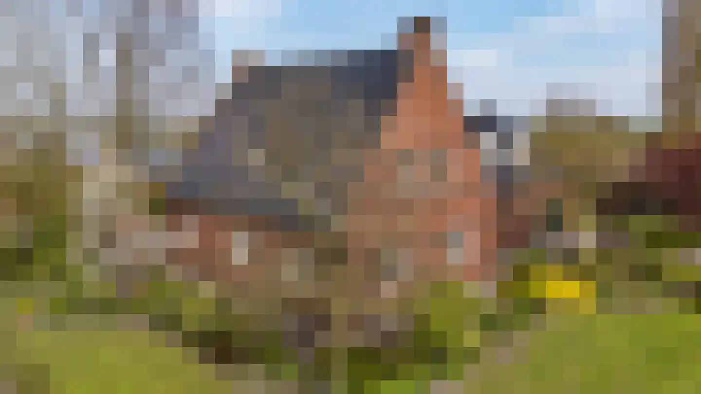 Etudestraat 14 Venray thumbnail 27